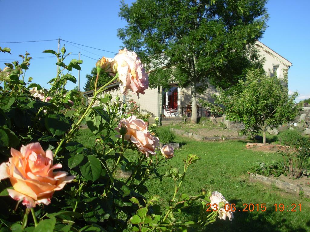 Le Jardin Des Pierres Brunes Saint-Jean-des-Ollieres Exterior photo